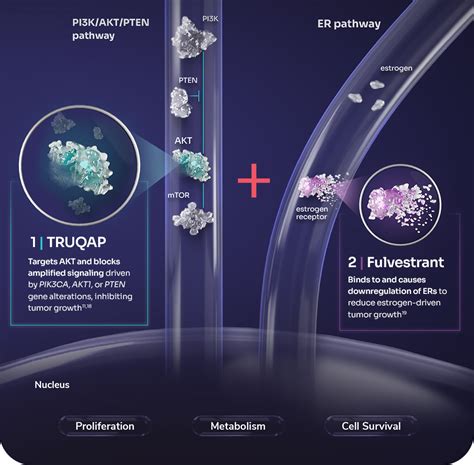 truqap moa|Capivasertib in Hormone Receptor–Positive Advanced Breast .